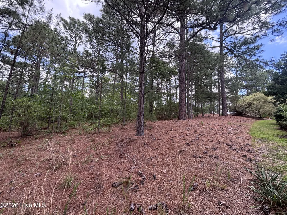 111 Callis Circle West End, NC 27376