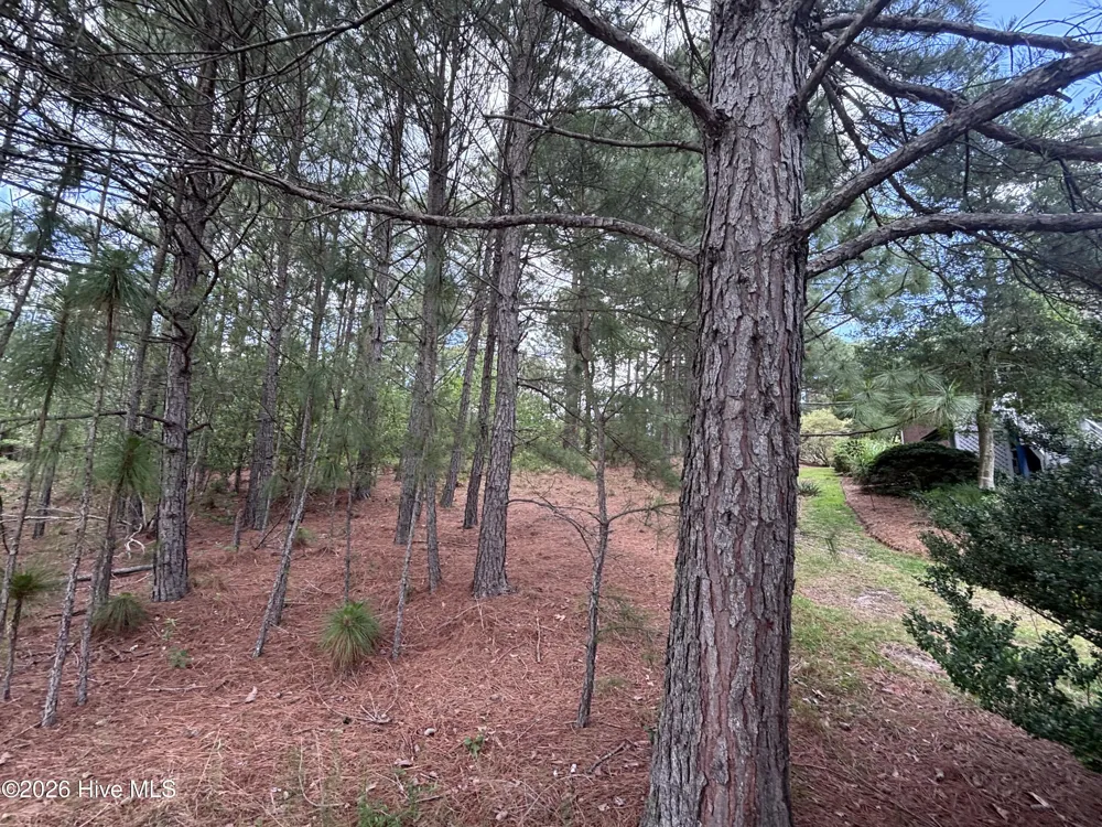111 Callis Circle West End, NC 27376