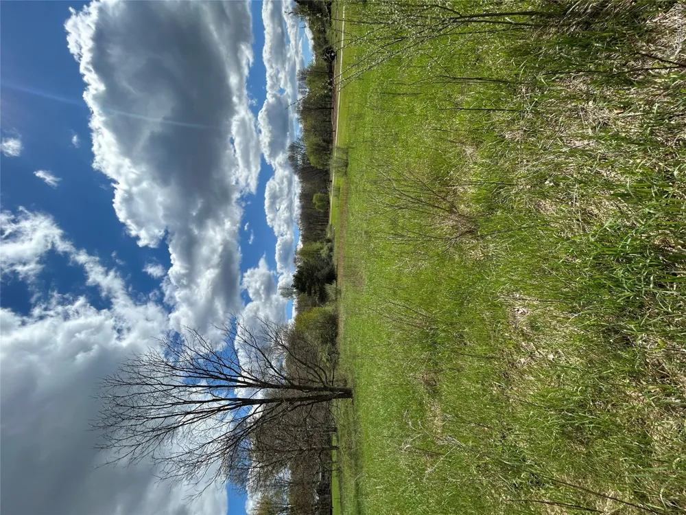 2 E Coon Lake Rd Genoa Township, MI 48843