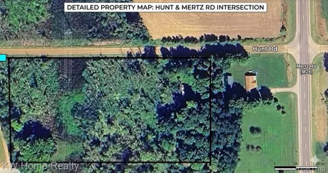 Hunt