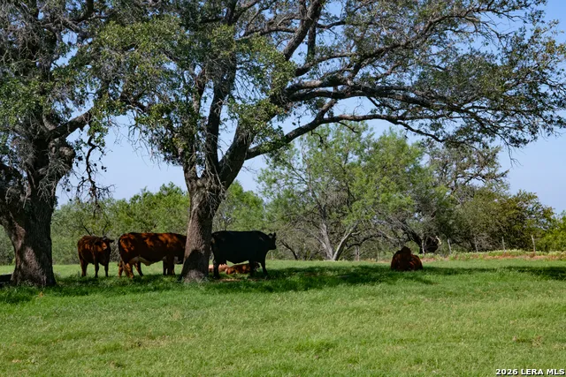 TBD 13857 US HIGHWAY 87 S Adkins, TX 78101