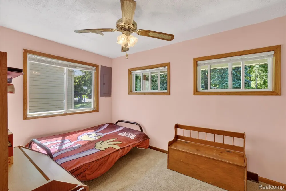 7166 Alpine Drive Argentine Township, MI 48451