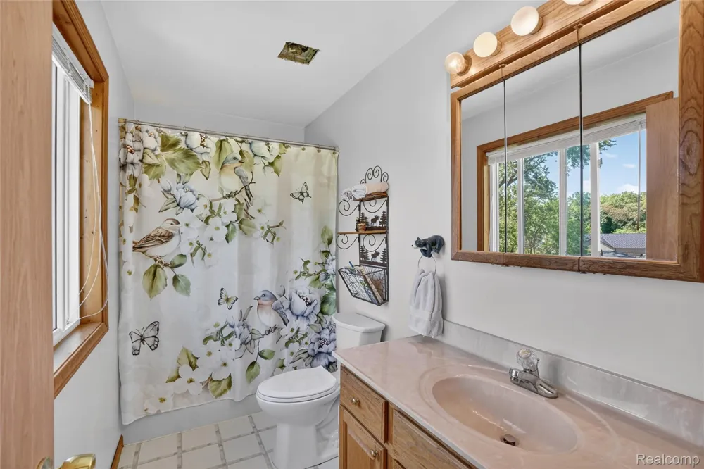 7166 Alpine Drive Argentine Township, MI 48451
