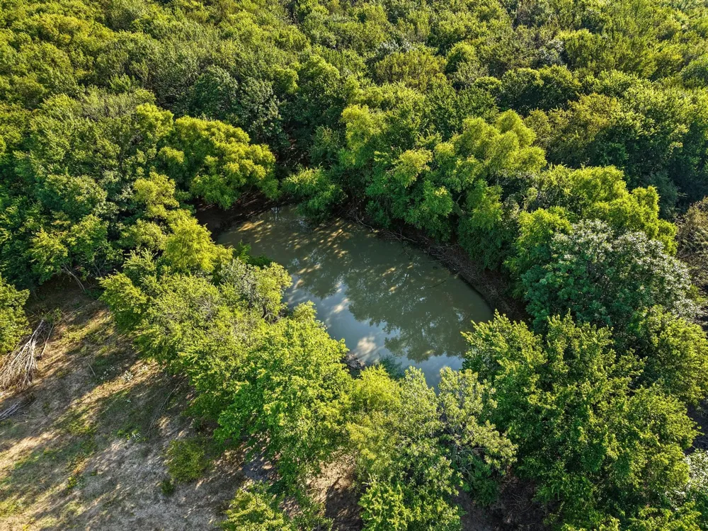 8194 Private Road 5406 Blue Ridge, TX 75424