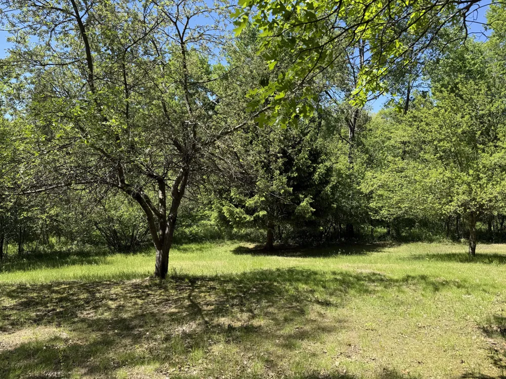 22469 165th Avenue Grant Township, MI 49639