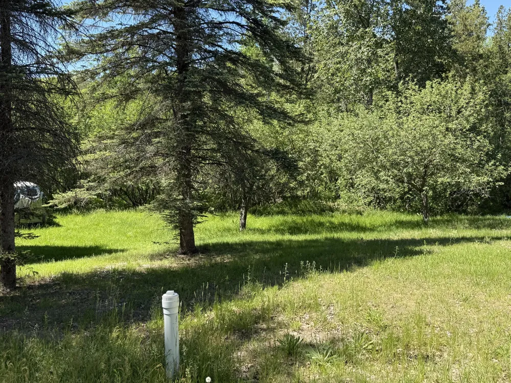 22469 165th Avenue Grant Township, MI 49639