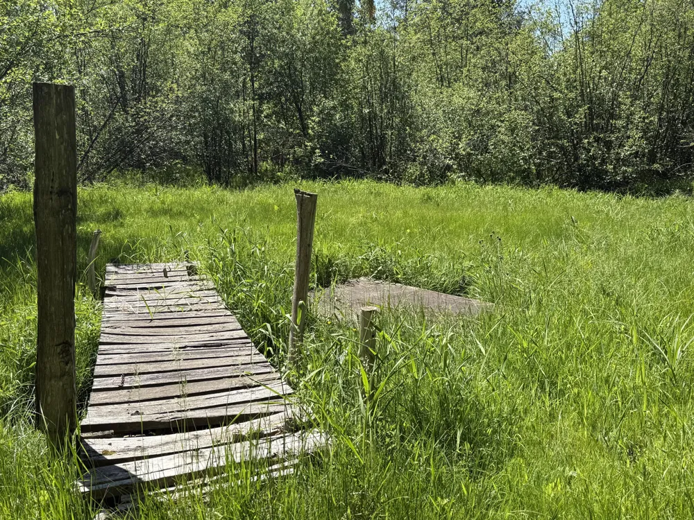 22469 165th Avenue Grant Township, MI 49639