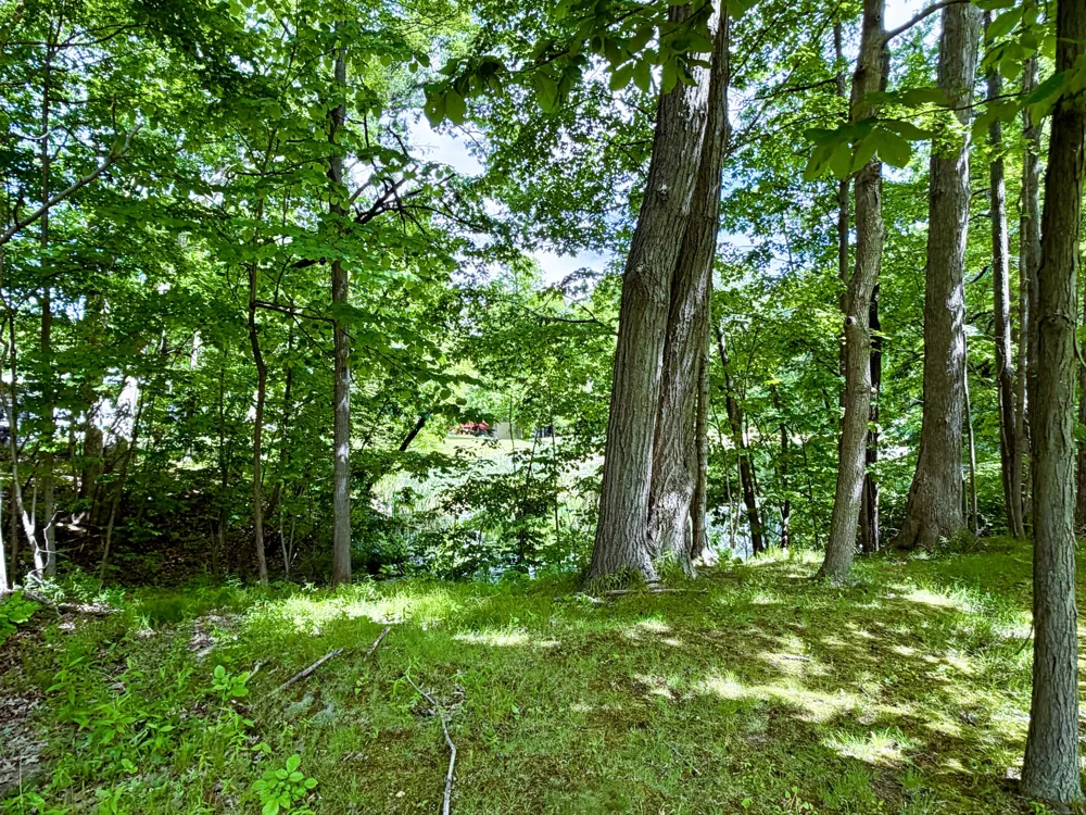8000 Warren Woods Road #Lot #96 Three Oaks Township, MI 49128