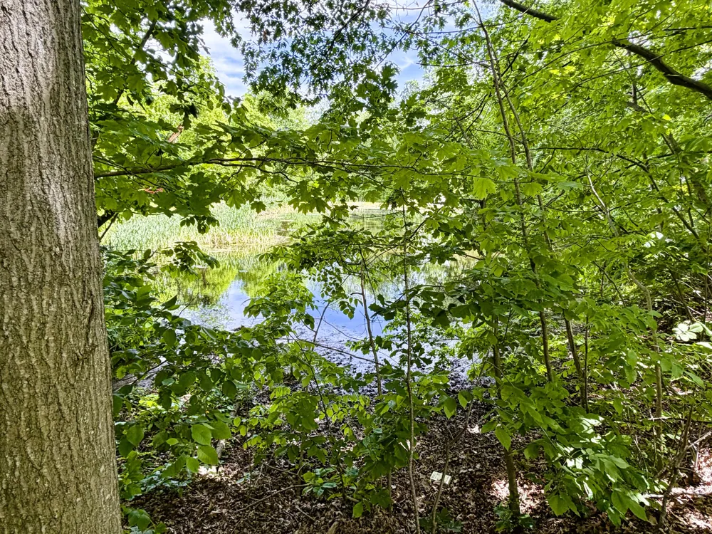 8000 Warren Woods Road #Lot #96 Three Oaks Township, MI 49128