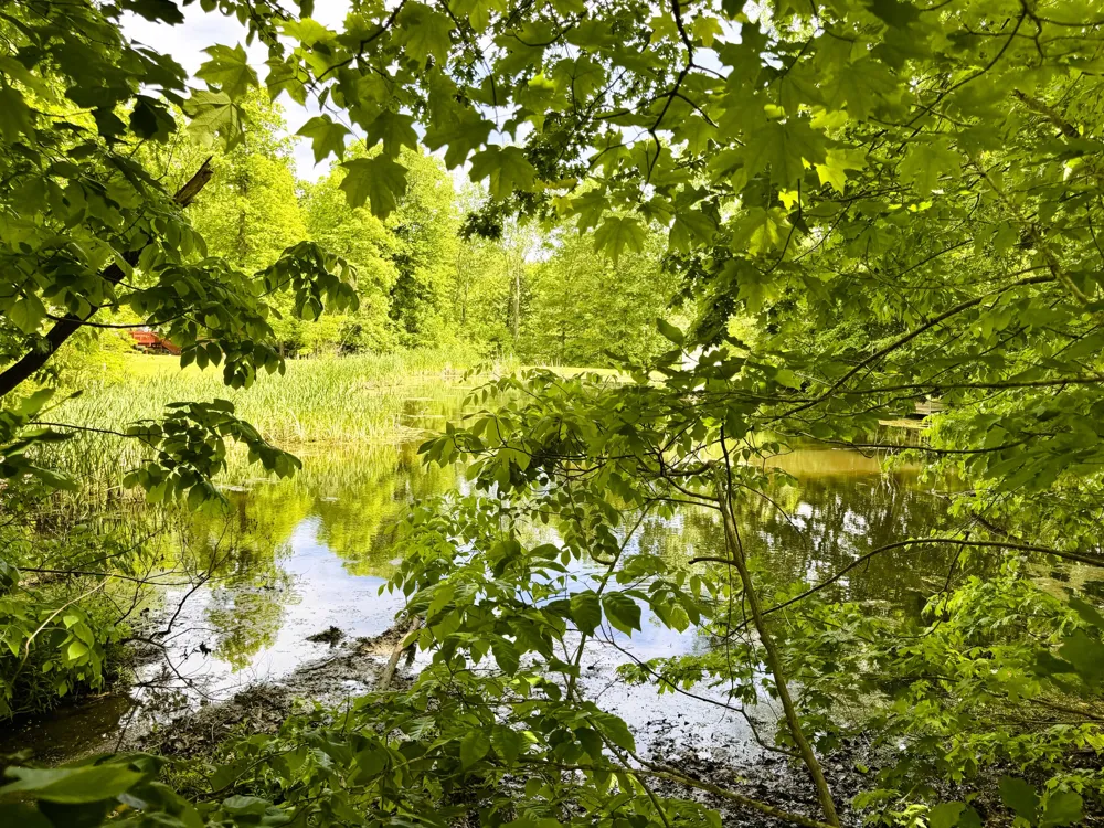 8000 Warren Woods Road #Lot #96 Three Oaks Township, MI 49128