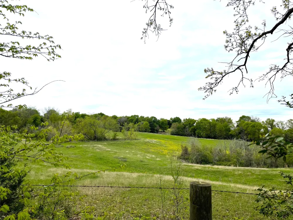 Hwy 164 Donie, TX 75838