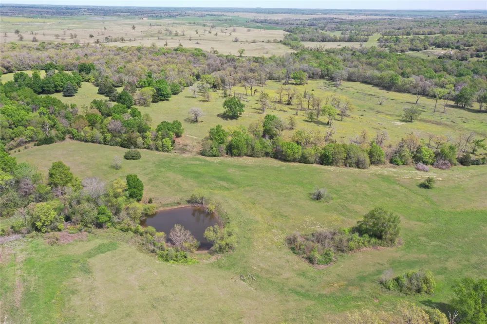 Hwy 164 Donie, TX 75838