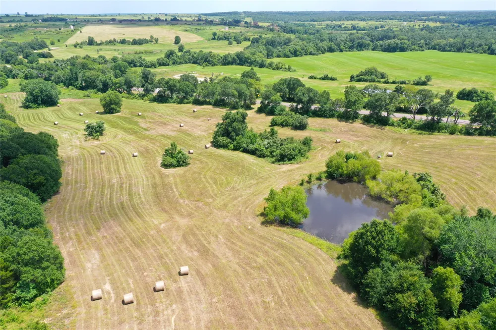 Hwy 164 Donie, TX 75838