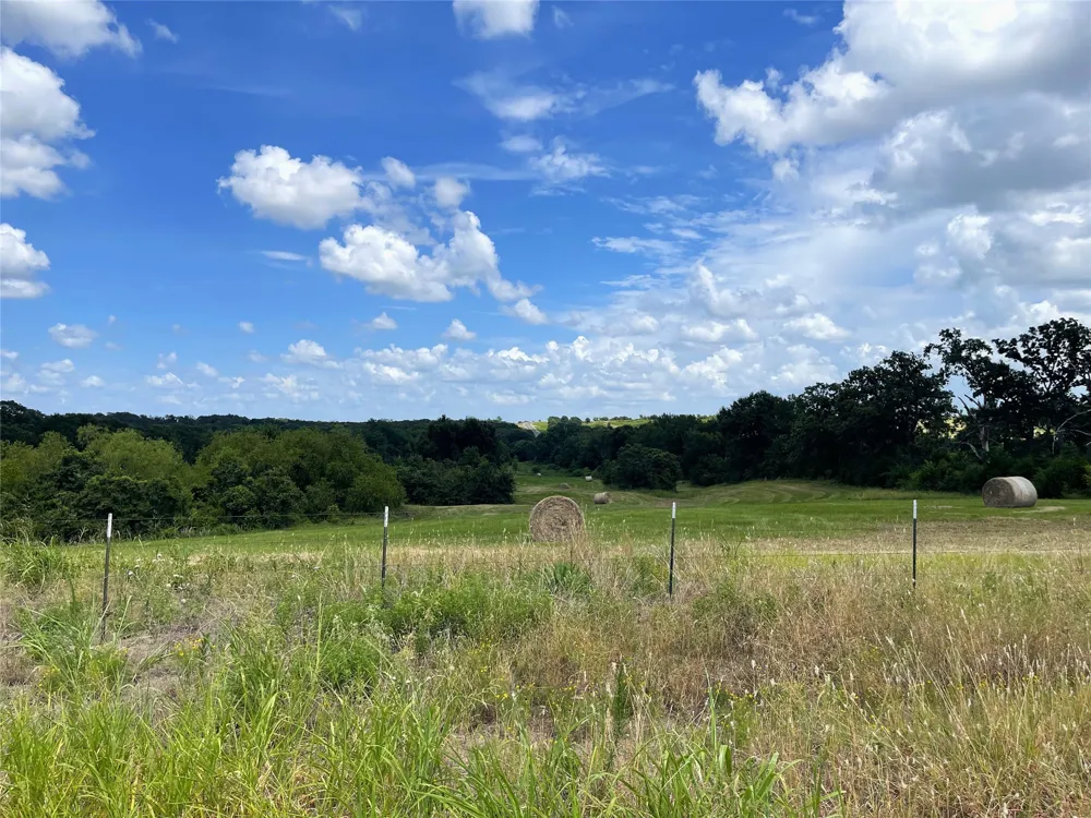 Hwy 164 Donie, TX 75838