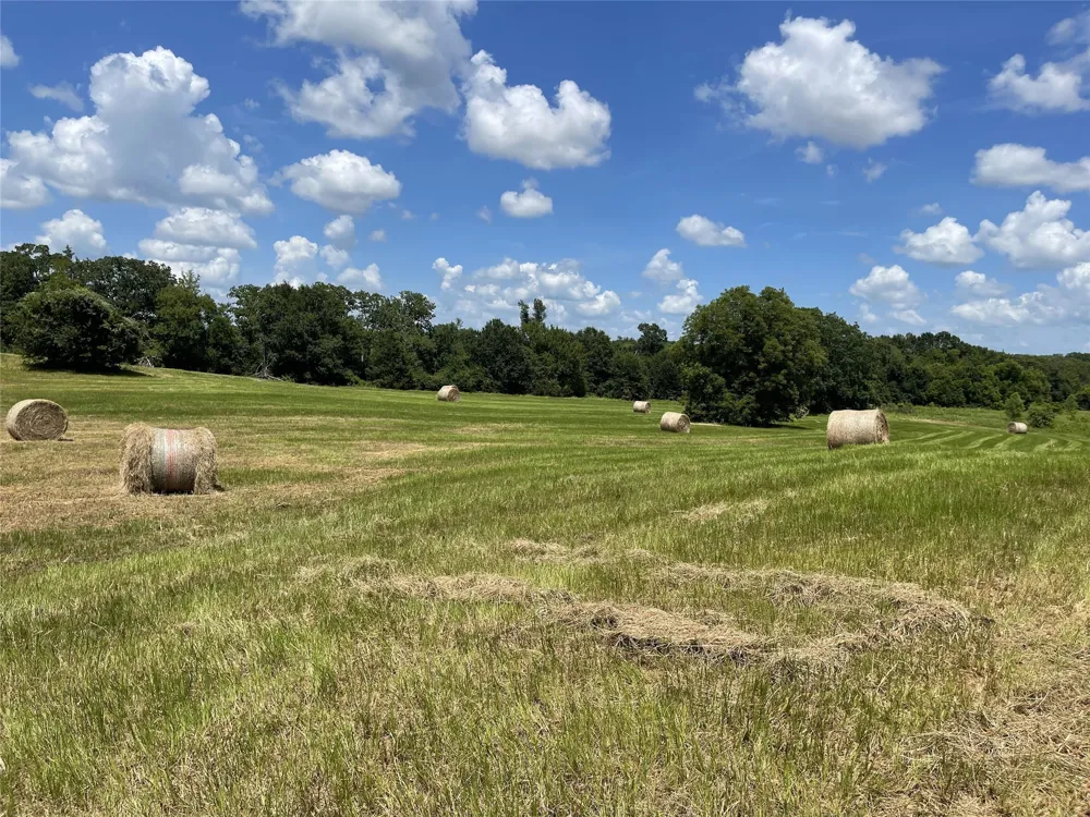 Hwy 164 Donie, TX 75838