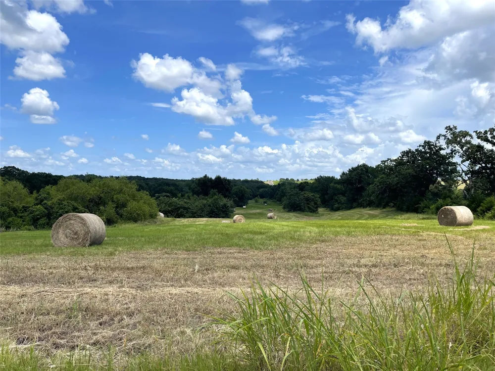 Hwy 164 Donie, TX 75838