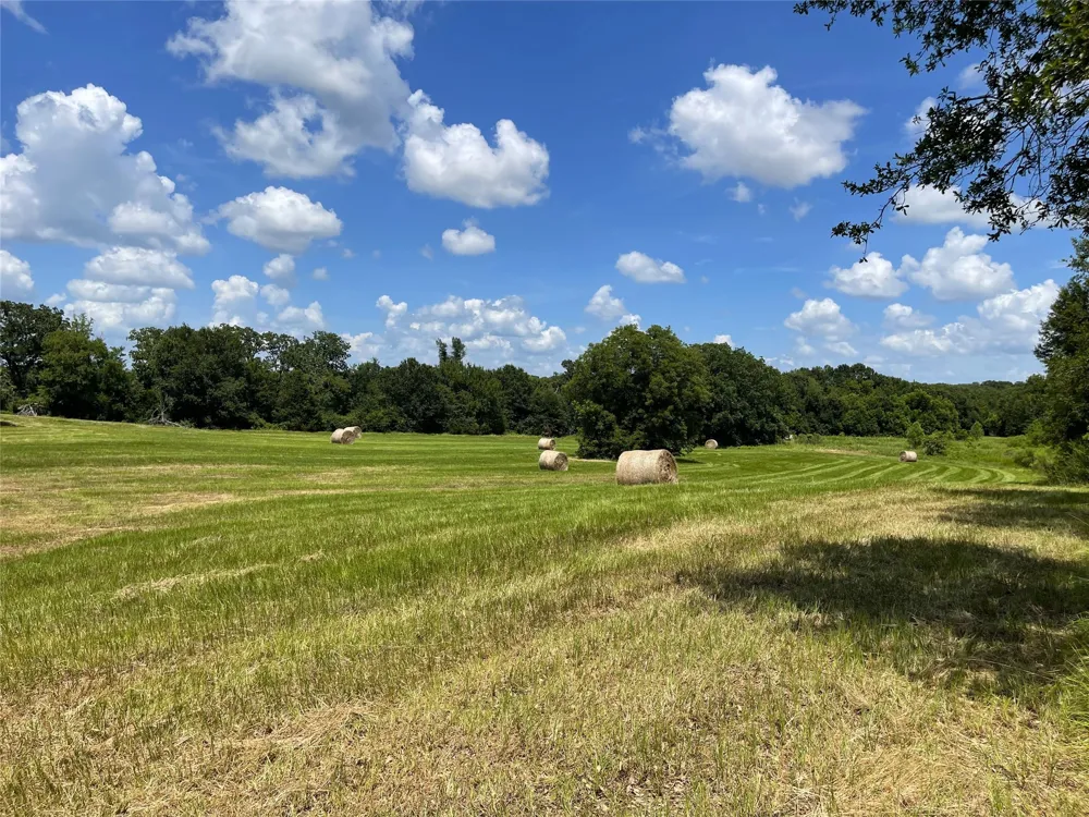 Hwy 164 Donie, TX 75838