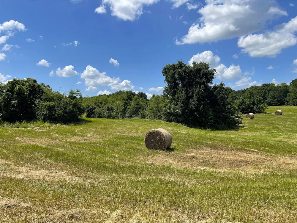 Hwy 164 Donie, TX 75838