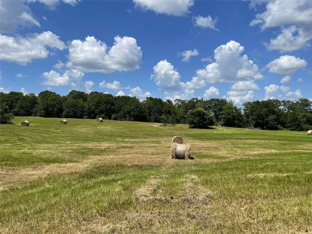 Hwy 164 Donie, TX 75838