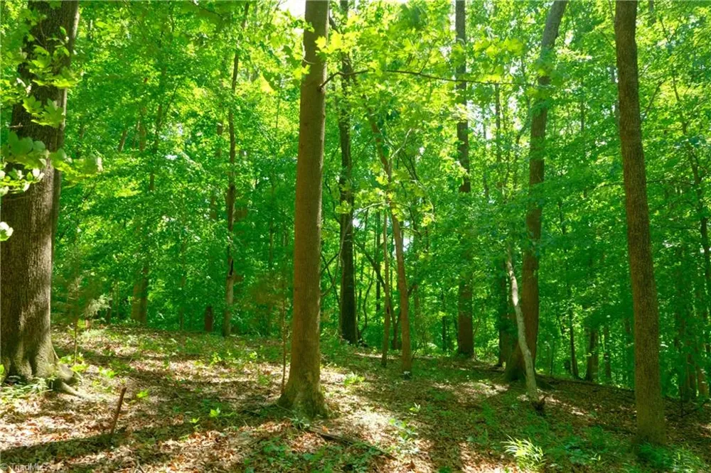 2 Powell Bridge Road Harmony, NC 28634