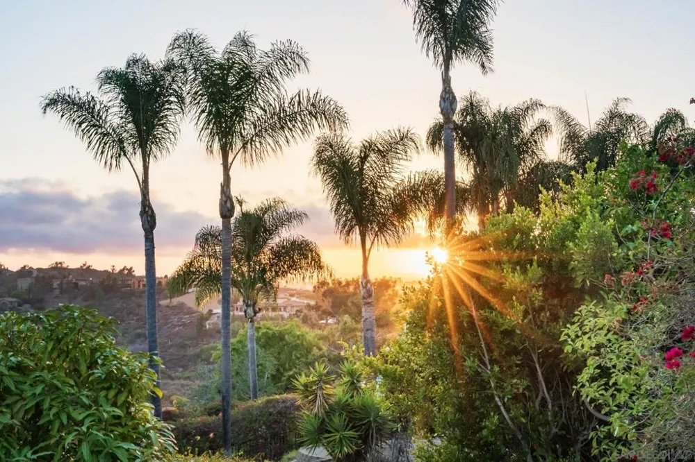 6171 Avenida Del Duque Rancho Santa Fe, CA 92067