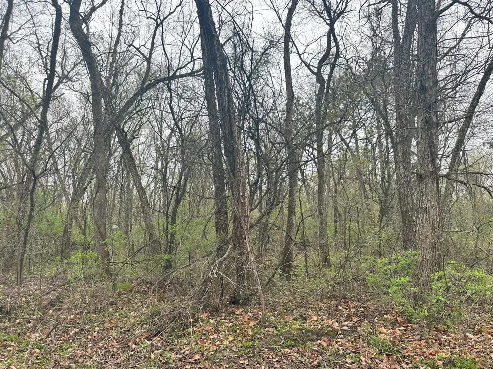 Lot 0 Catfish Drive Trempealeau, WI 54661