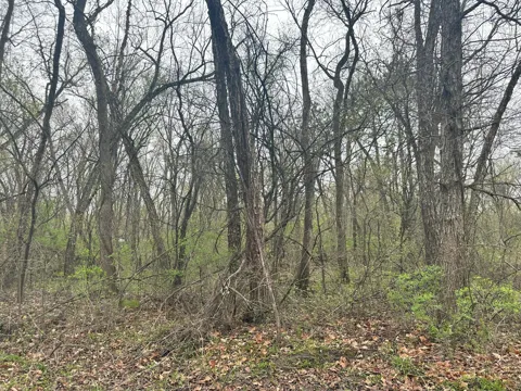 Lot 0 Catfish Drive