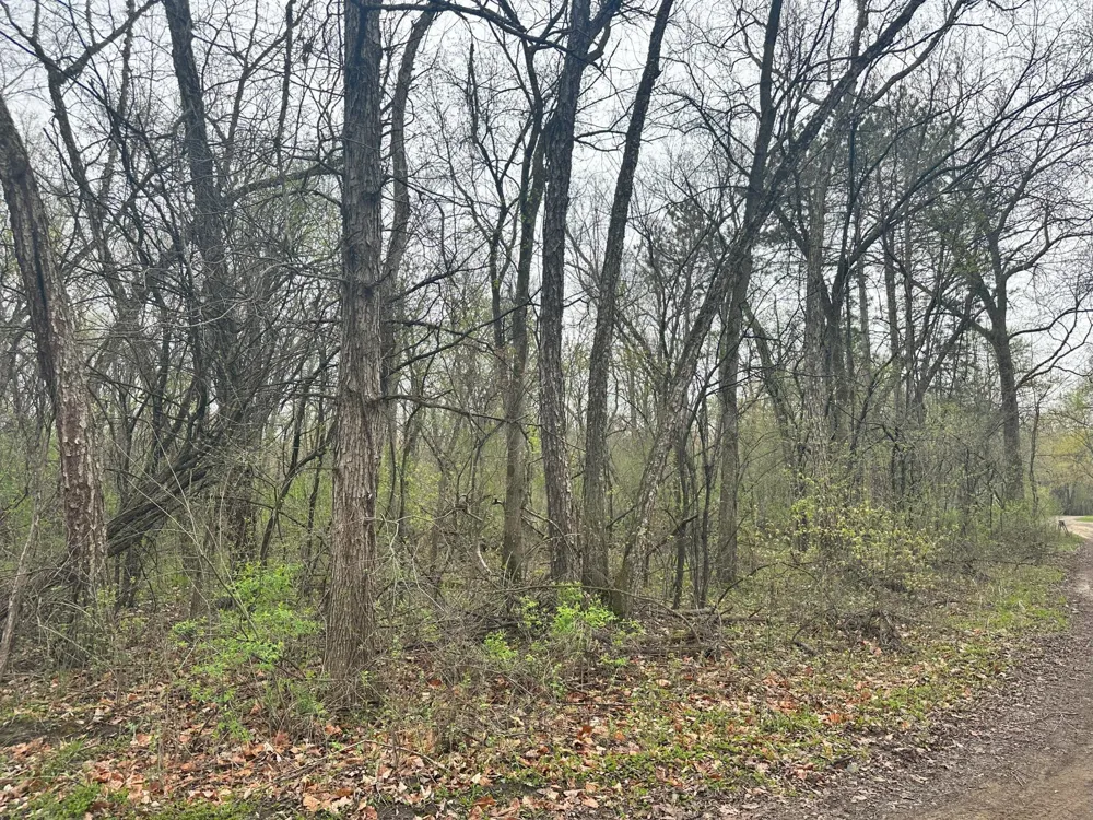 Lot 0 Catfish Drive Trempealeau, WI 54661