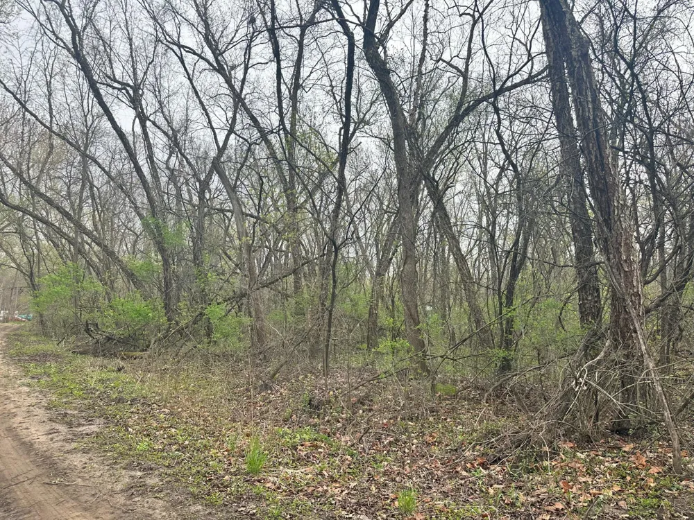 Lot 0 Catfish Drive Trempealeau, WI 54661