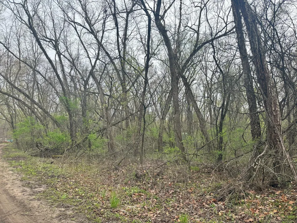 Lot 0 Catfish Drive Trempealeau, WI 54661