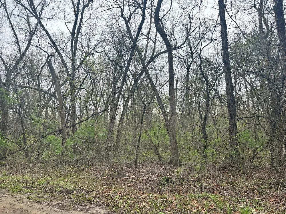 Lot 0 Catfish Drive Trempealeau, WI 54661