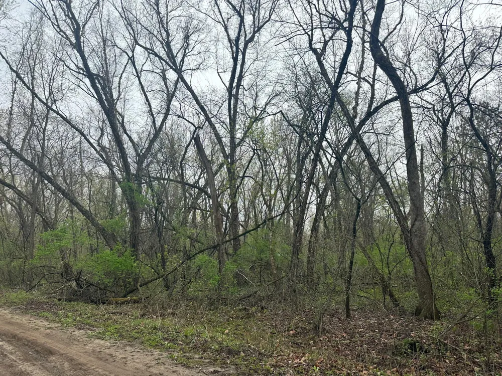 Lot 0 Catfish Drive Trempealeau, WI 54661