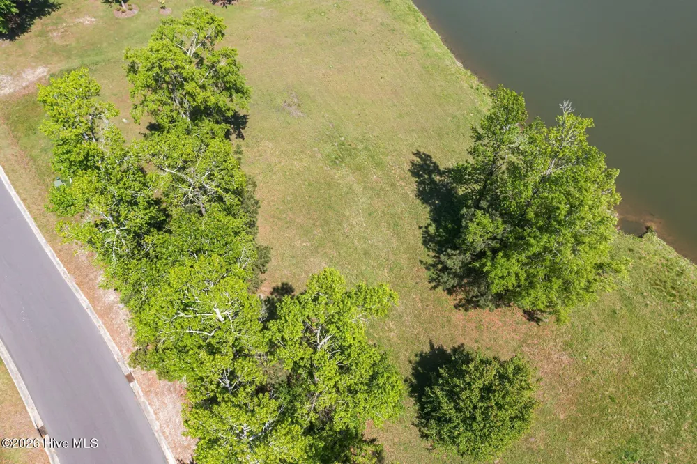 259 Sycamore Forest Drive Wallace, NC 28466
