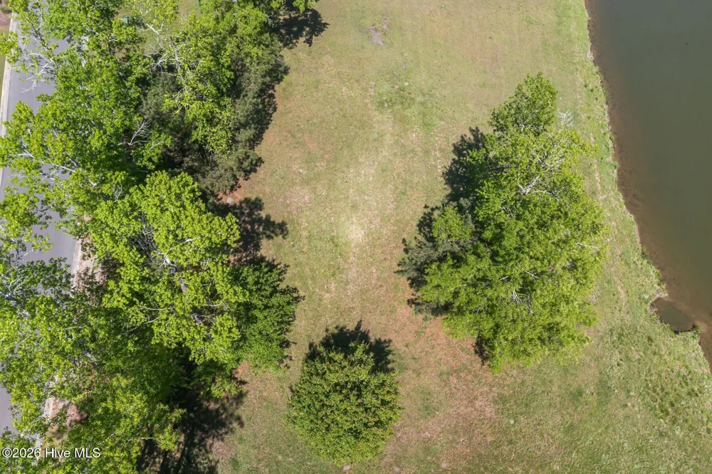 259 Sycamore Forest Drive Wallace, NC 28466