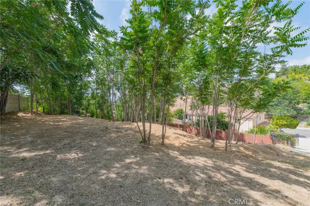 420 Camino De Gloria Walnut, CA 91789
