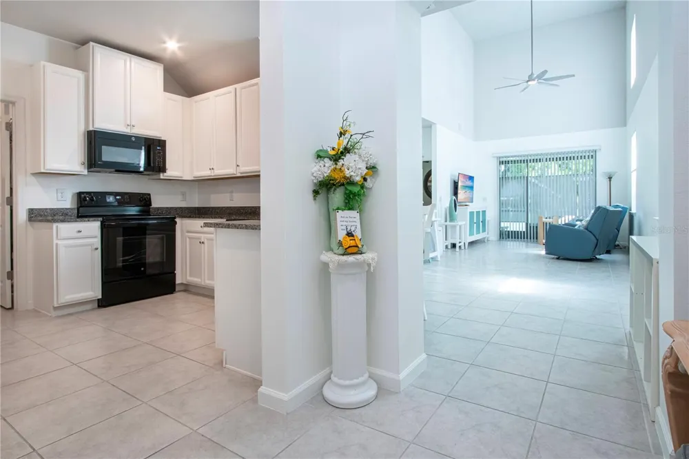 2120 LACEFLOWER DRIVE Brandon, FL 33510