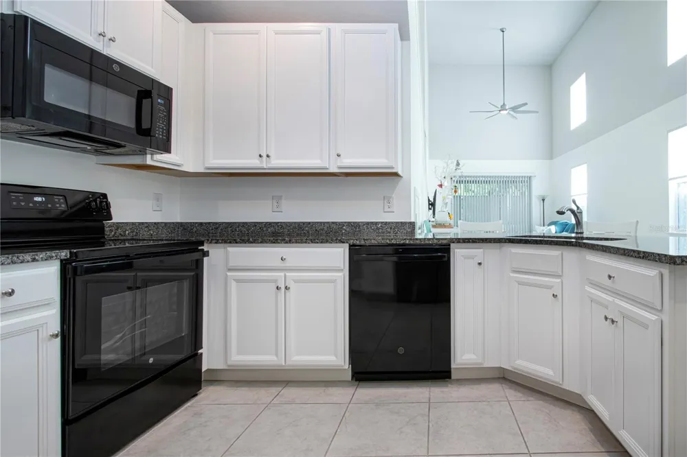 2120 LACEFLOWER DRIVE Brandon, FL 33510