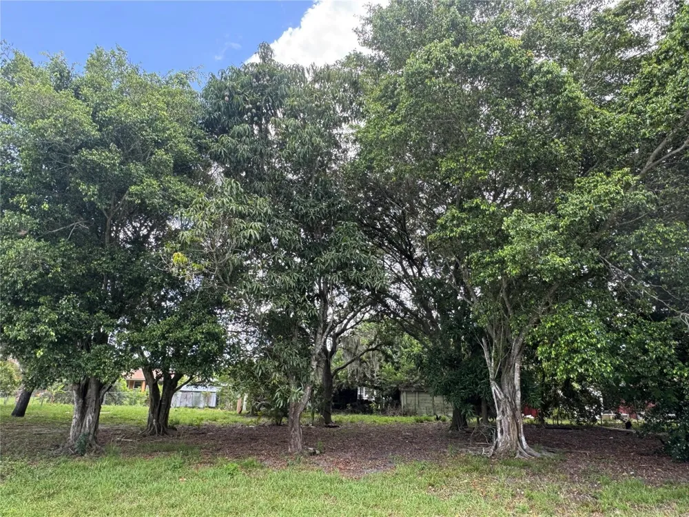 WASHINGTON AVENUE Immokalee, FL 34142