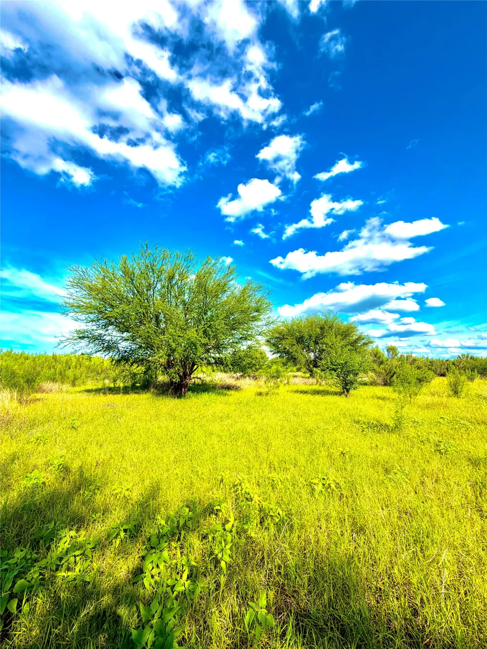 County Road 512 Hondo, TX 78850