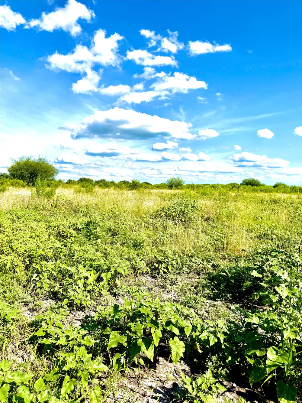 County Road 512 Hondo, TX 78850