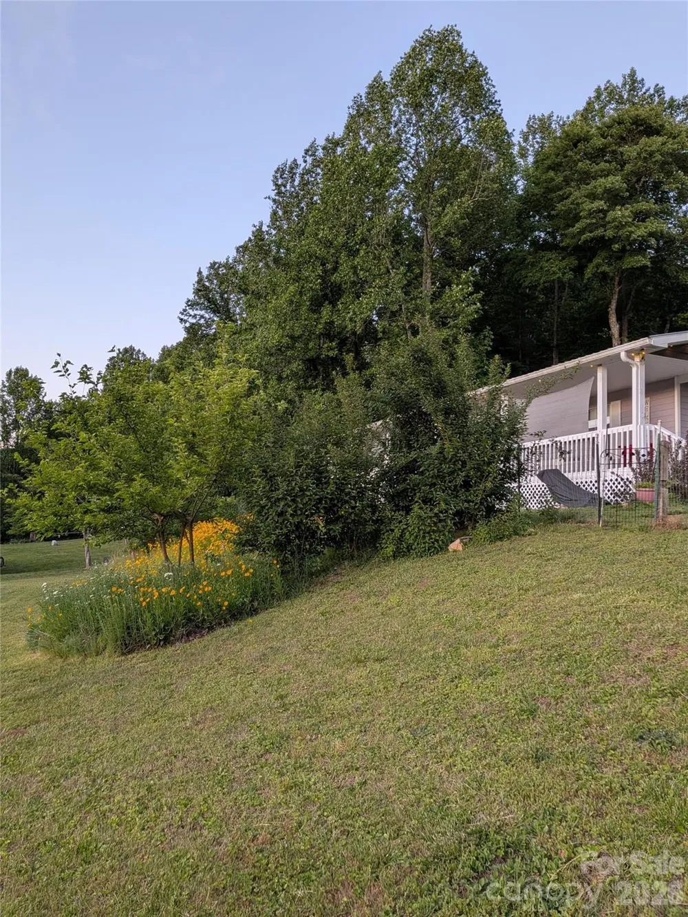 59 Ck Cabin Drive Hot Springs, NC 28743