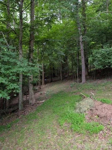 59 Ck Cabin Drive Hot Springs, NC 28743