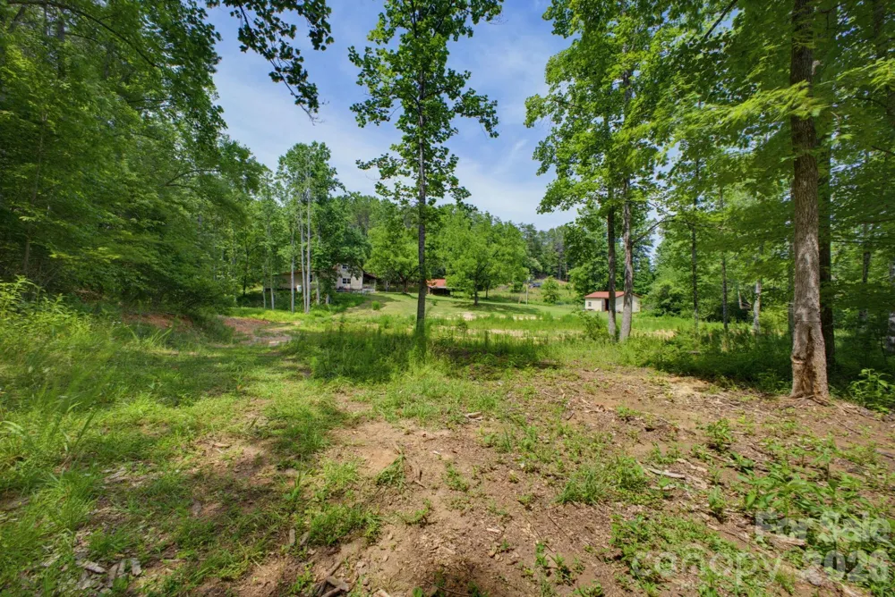 1239 W McGuinn Road Mill Spring, NC 28756