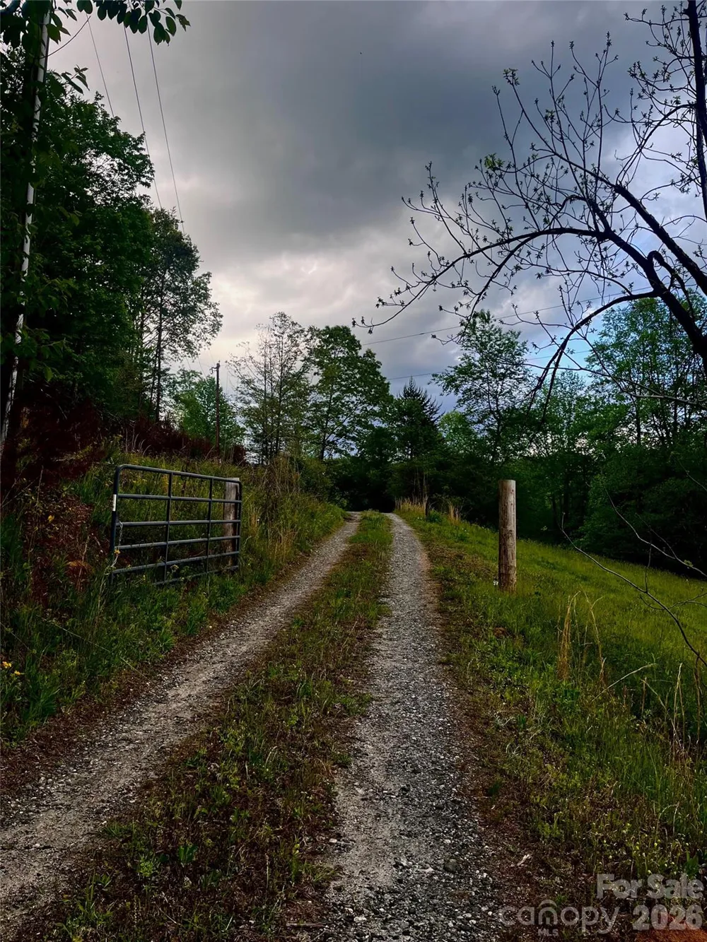 1239 W McGuinn Road Mill Spring, NC 28756
