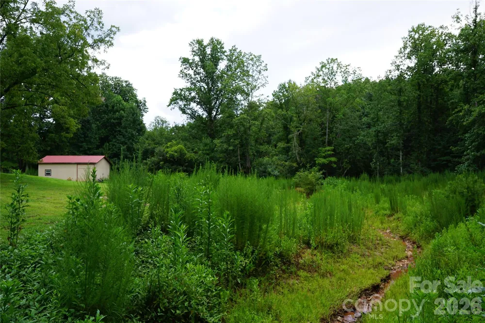 1239 W McGuinn Road Mill Spring, NC 28756