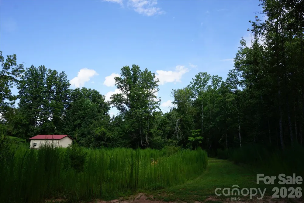 1239 W McGuinn Road Mill Spring, NC 28756