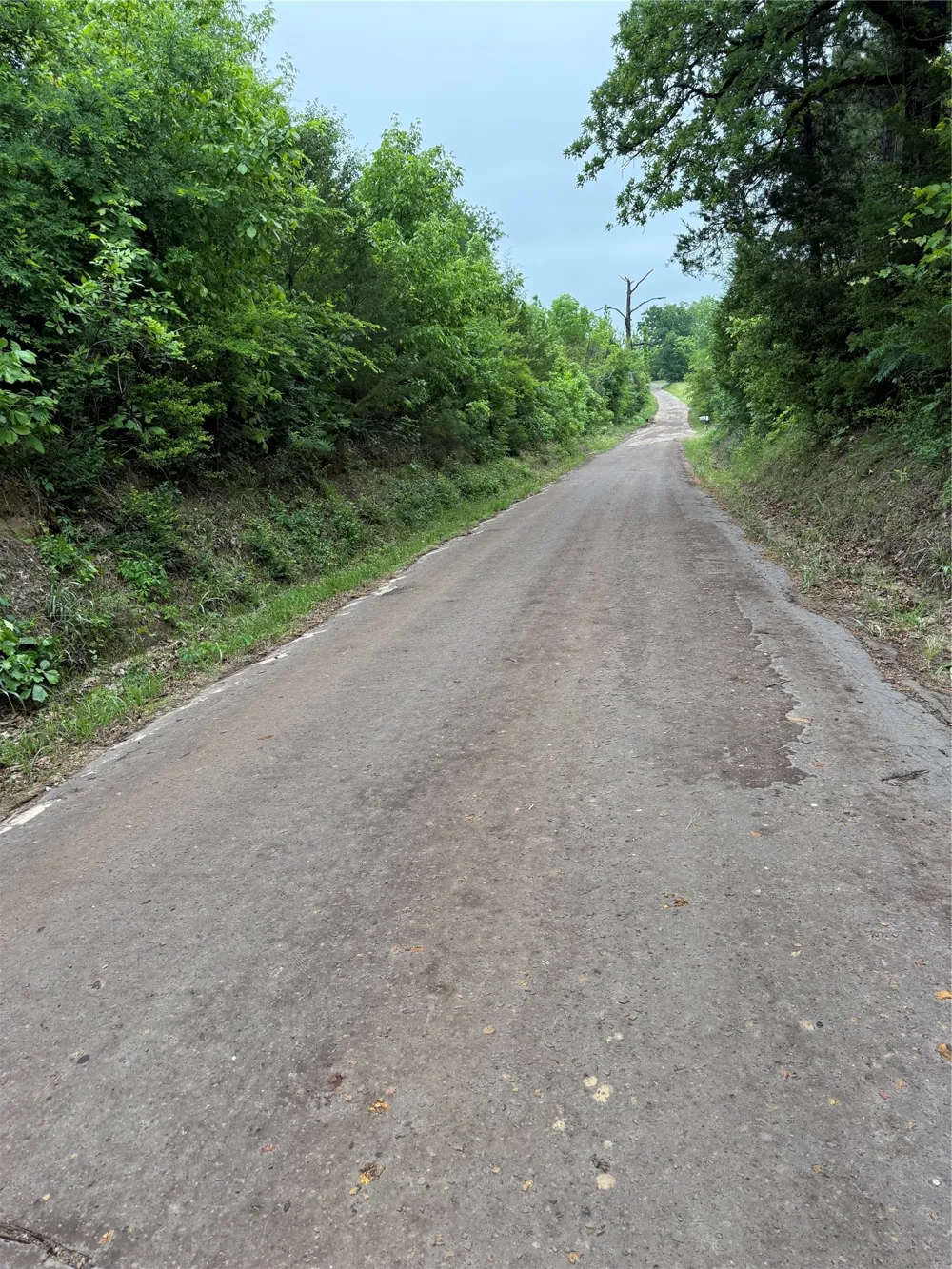 Hwy 11 Linden, TX 76653