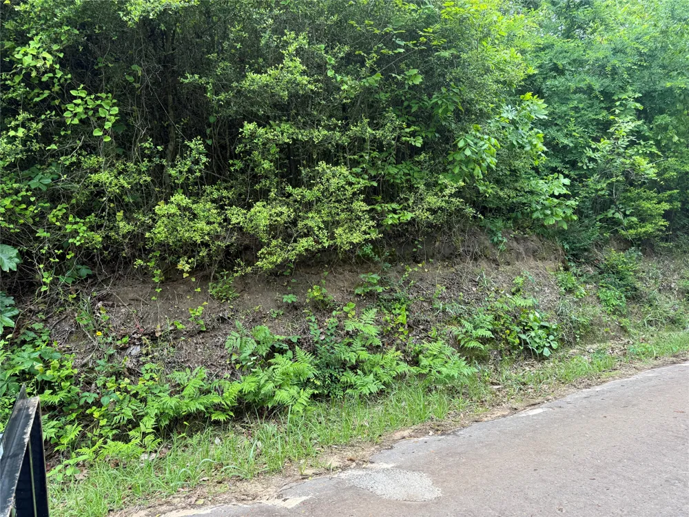 Hwy 11 Linden, TX 76653