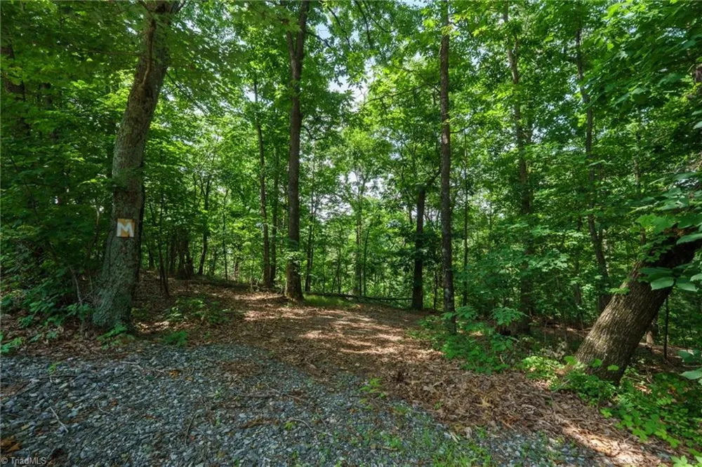 00 Hendren Road Moravian Falls, NC 28654