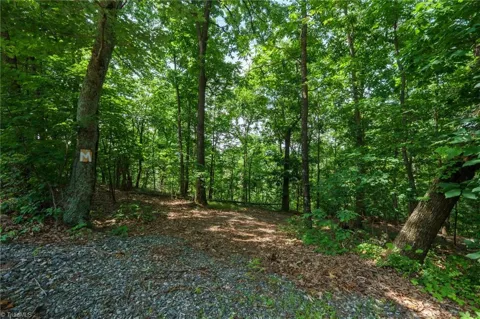 00 Hendren Road